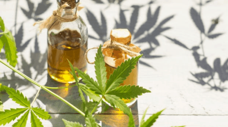 How To Make Cbd Oil From Male Plant