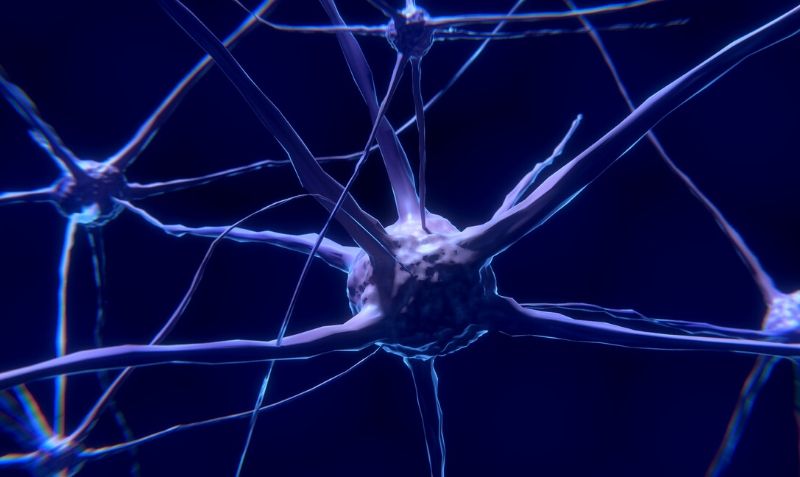 dopamine