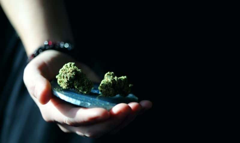 Marijuana side effects