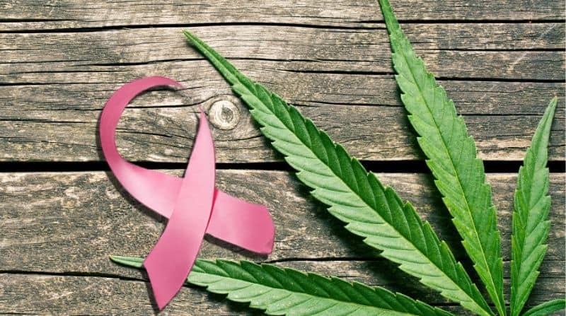 Medical Marijuana For Breast Cancer (2023 Edition)