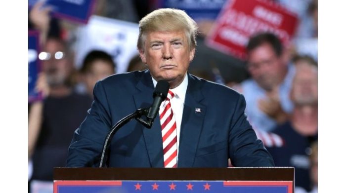 Which 2020 Presidential Candidate Supports Marijuana Legalization?