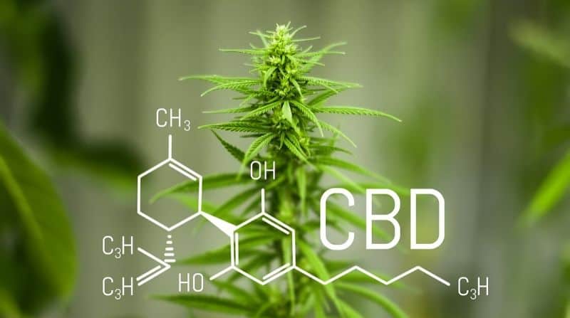 Cbd Dosage Guide How Much Cbd Oil Should I Take