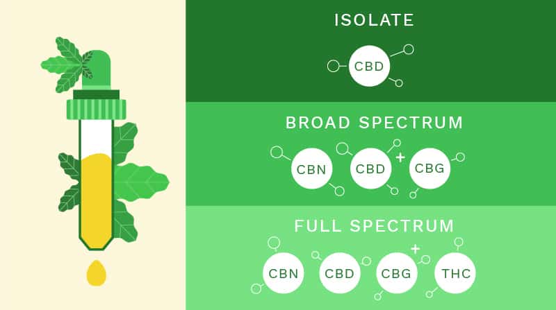 TYPES of CBD americanmarijuana