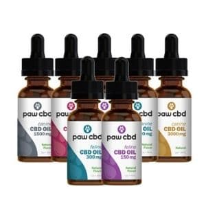 cbdMD Review
