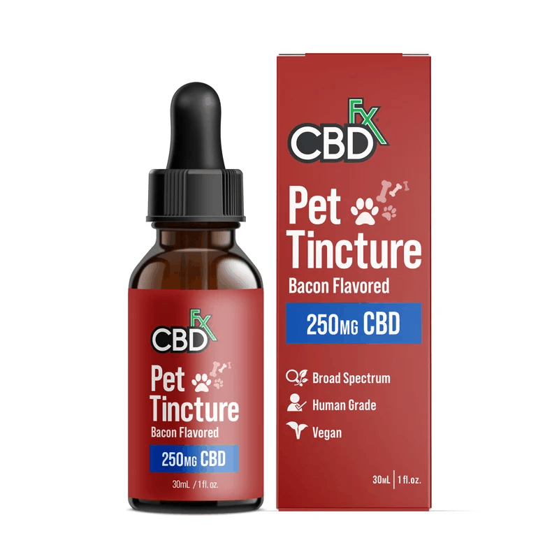 Best CBD For Dogs | Top CBD Drops, Tinctures, Treats In 2022