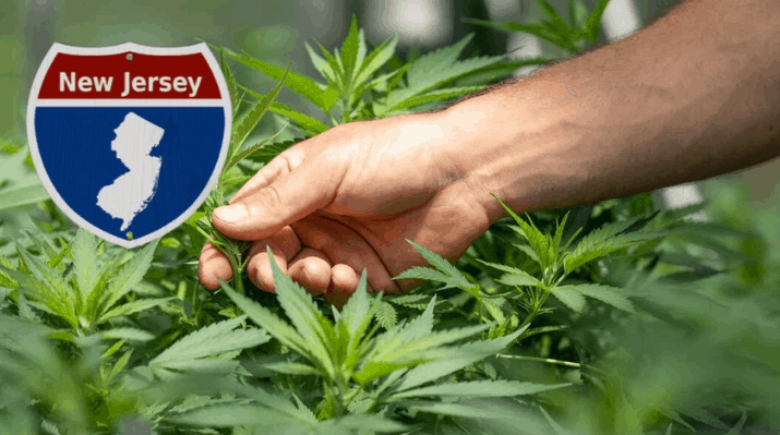 New Jersey's Battle For Home Growing - American Marijuana - 2022