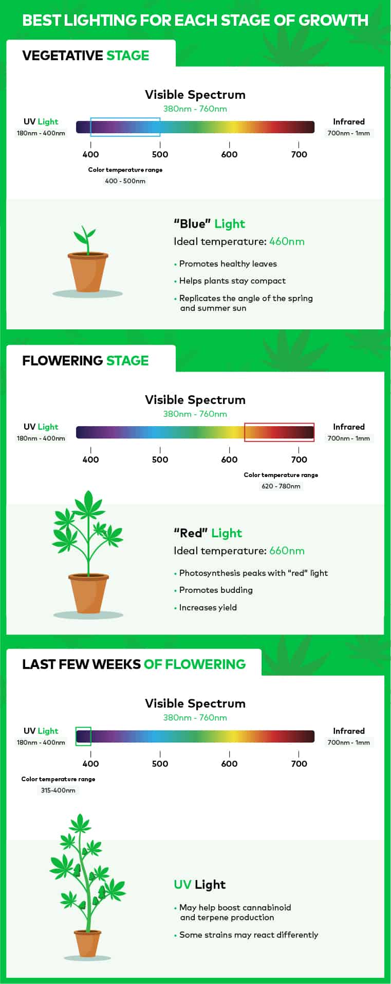 Best LED Grow Lights For Indoor Marijuana Plants American Marijuana