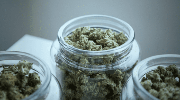 jars-of-cannabis-700x391.png