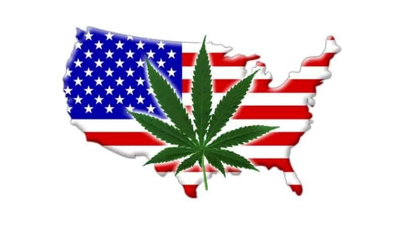 Which 2020 Presidential Candidate Is Pro-Weed? - American Marijuana