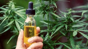 How To Use CBD Oil