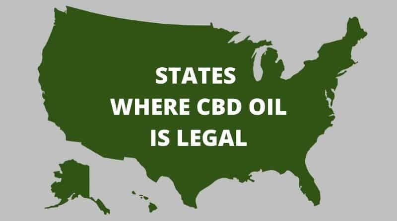 What States Legalized CBD Oil (2024 Updated Version)