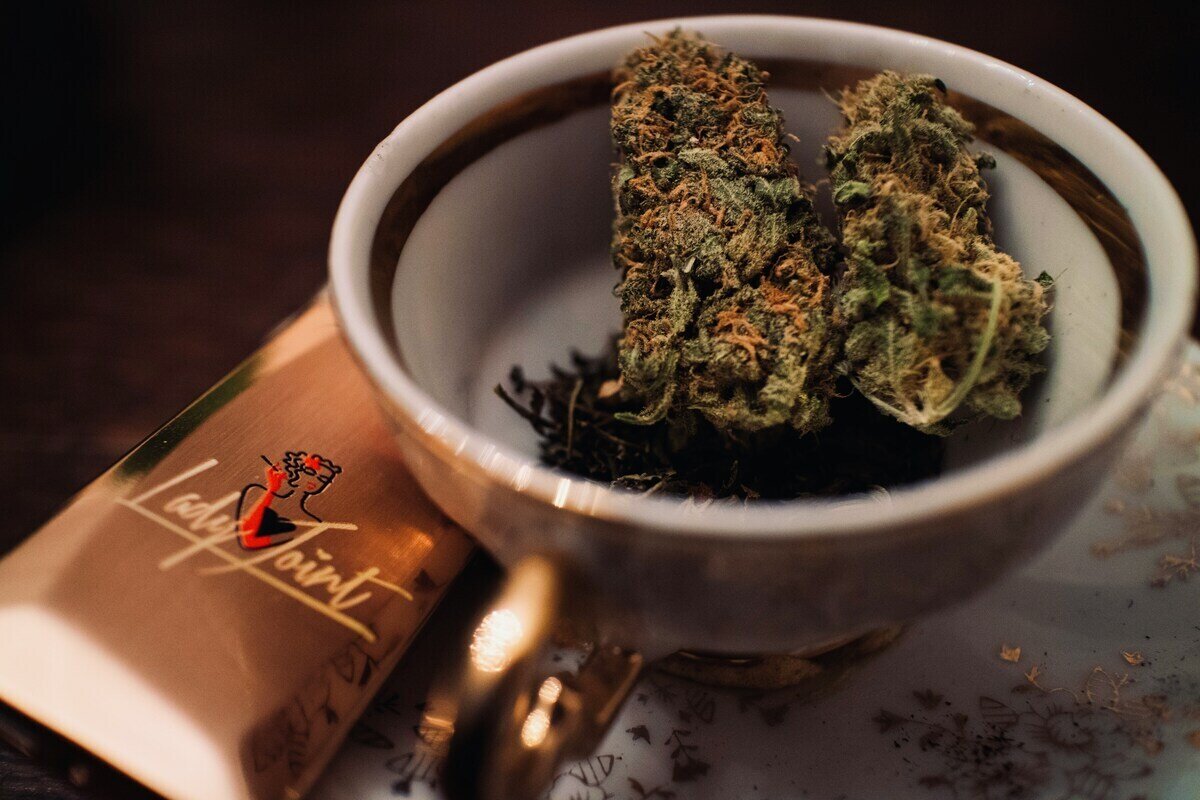 Clementine Strain Review 2024 Guide American Marijuana